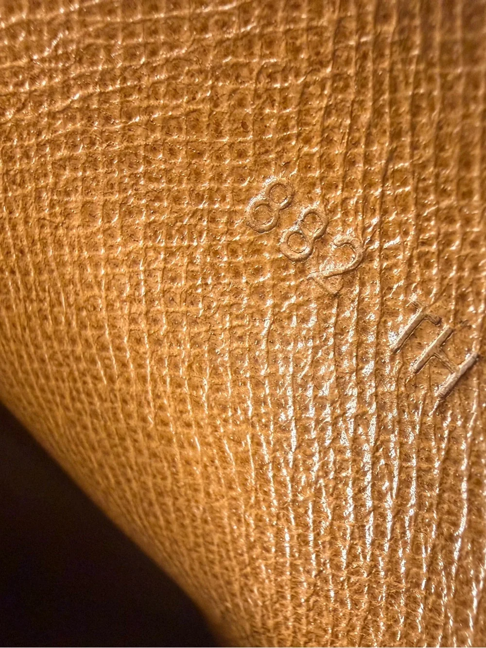 Authentic Louis Vuitton Marley Dragonne Clutch